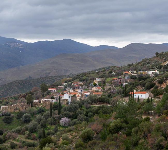 Τα Διευχά είναι ένα μικρό ορεινό χωριό της βορειοδυτικής Χίου