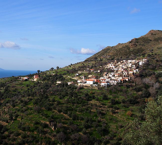 Το Μελανιός στην Βοριοανατολική Χίο